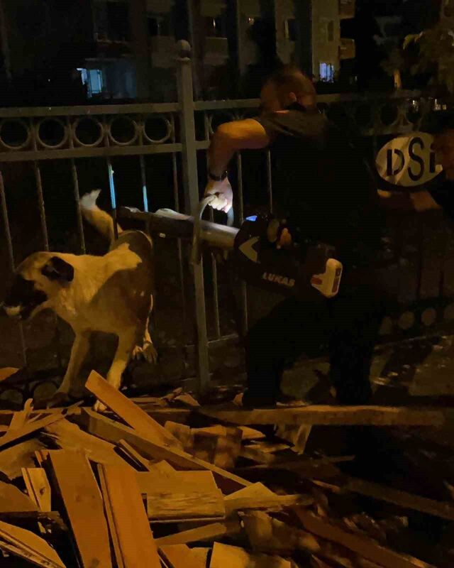 HATAY’DA DEMİR KORKULUKLARDA SIKIŞAN