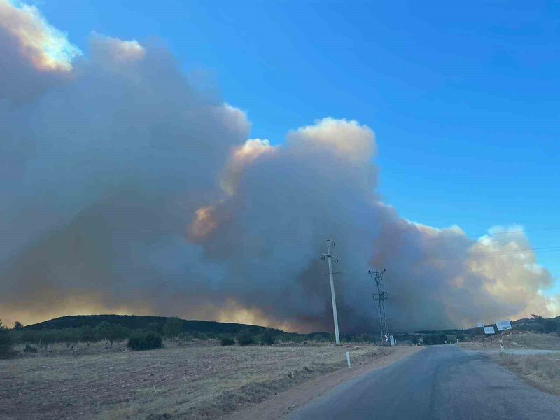 Manisa’da itfaiye ekiplerinin yangınla mücadelesi sürüyor