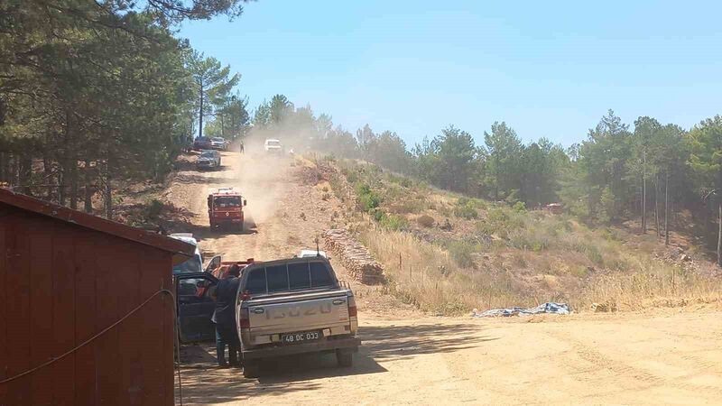 Menteşe’deki orman yangına ekiplerden hızlı müdahale