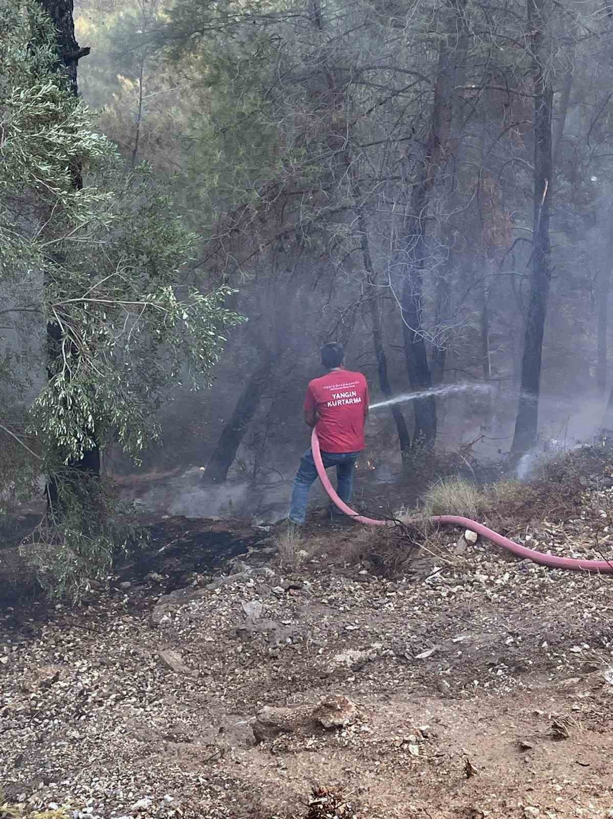 MUĞLA’NIN MİLAS İLÇESİ SEKKÖY