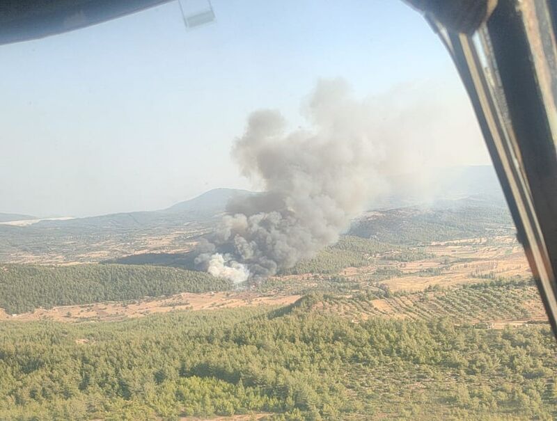 Milas’ta orman yangını