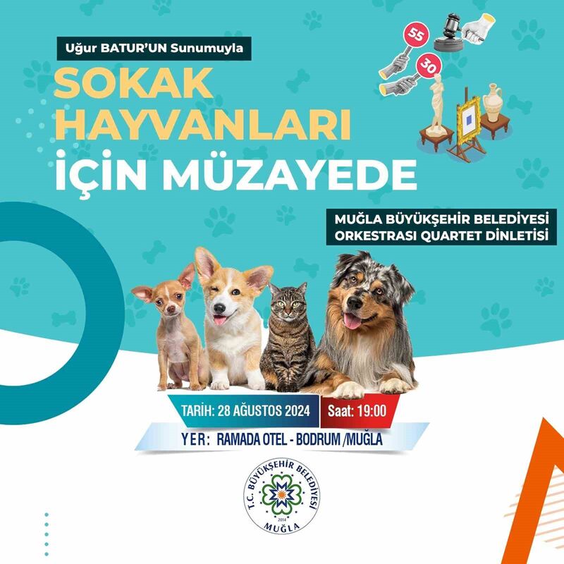 MUĞLA SOKAK HAYVANLARI İÇİN