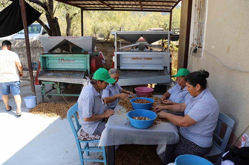 TİCARET BAKANLIĞI, TARIM VE