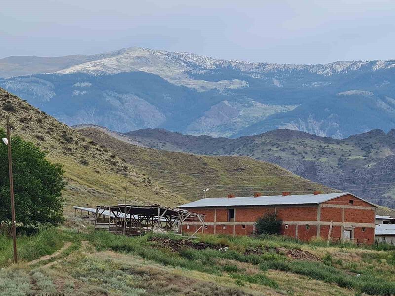 ERZURUM’UN KUZEY İLÇELERİNDE ETKİLİ