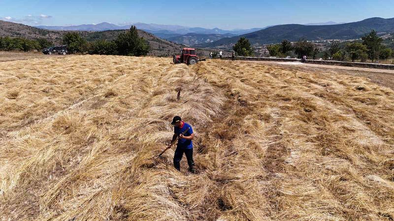 ORDU BÜYÜKŞEHİR BELEDİYESİ TARAFINDAN