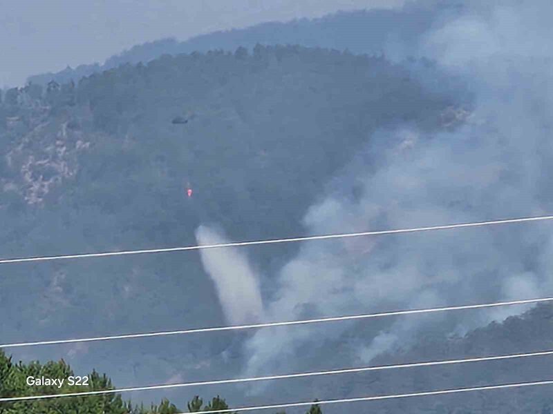 KARABÜK'ÜN OVACIK İLÇESİNDE ORMANLIK