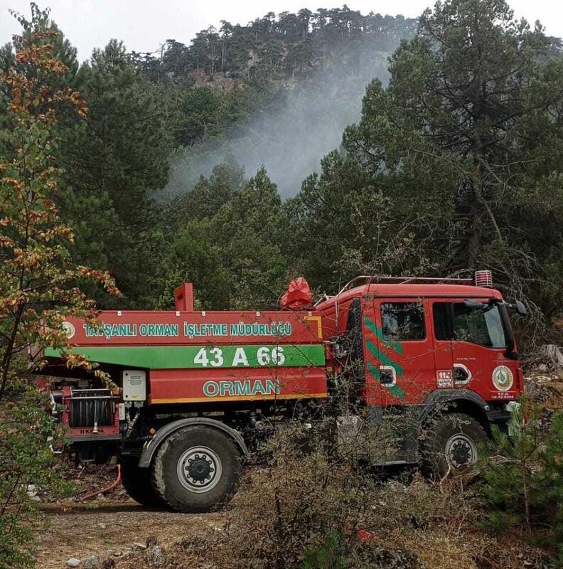 KÜTAHYA'DA ORMANLIK ALANDA YILDIRIM