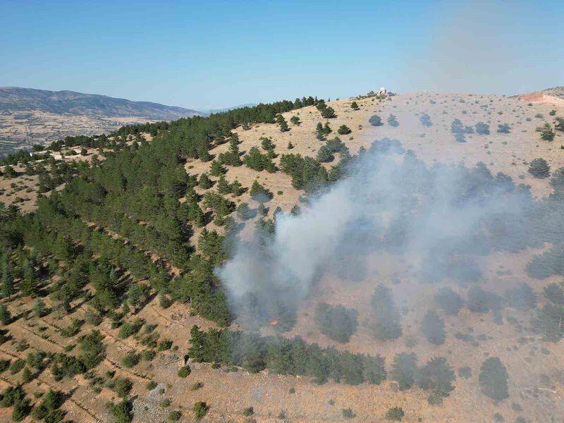 TOKAT'TA ORMANLIK ALANDA BAŞLAYAN