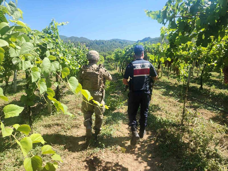 SAKARYA’DA JANDARMA SORUMLULUK BÖLGESİNDE