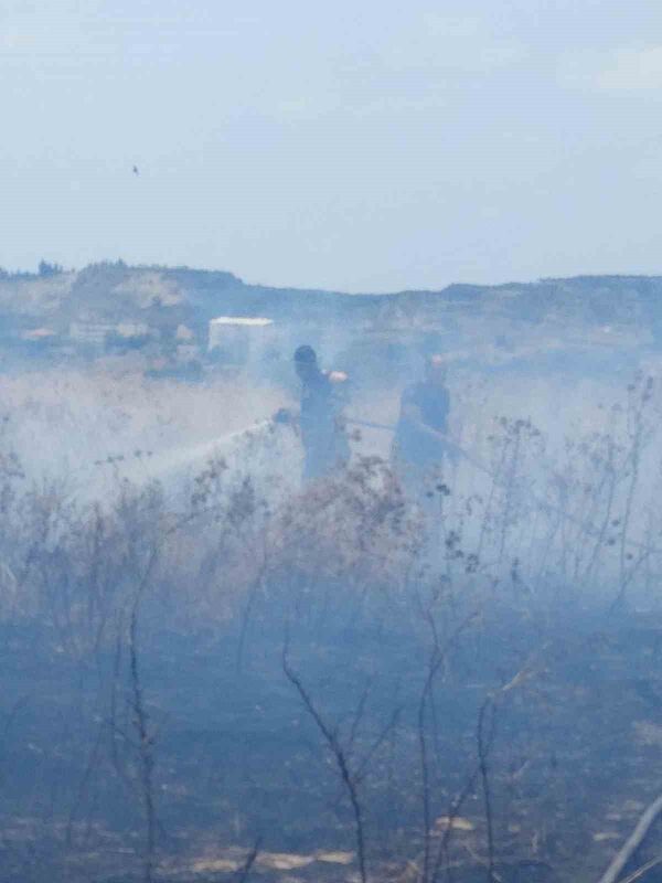 Samandağ’da çıkan çalılık yangını söndürüldü