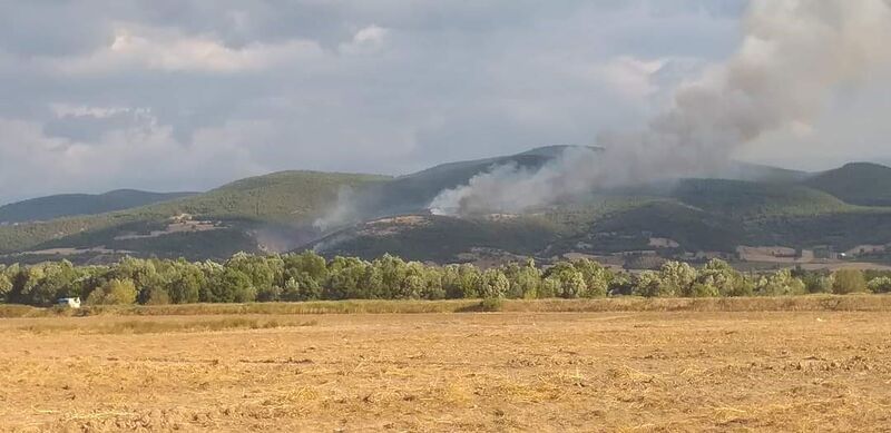 TOKAT'IN ERBAA İLÇESİNDE ÇIKAN