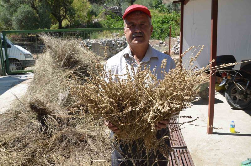 ANTALYA'NIN AKSEKİ İLÇESİNDE 25