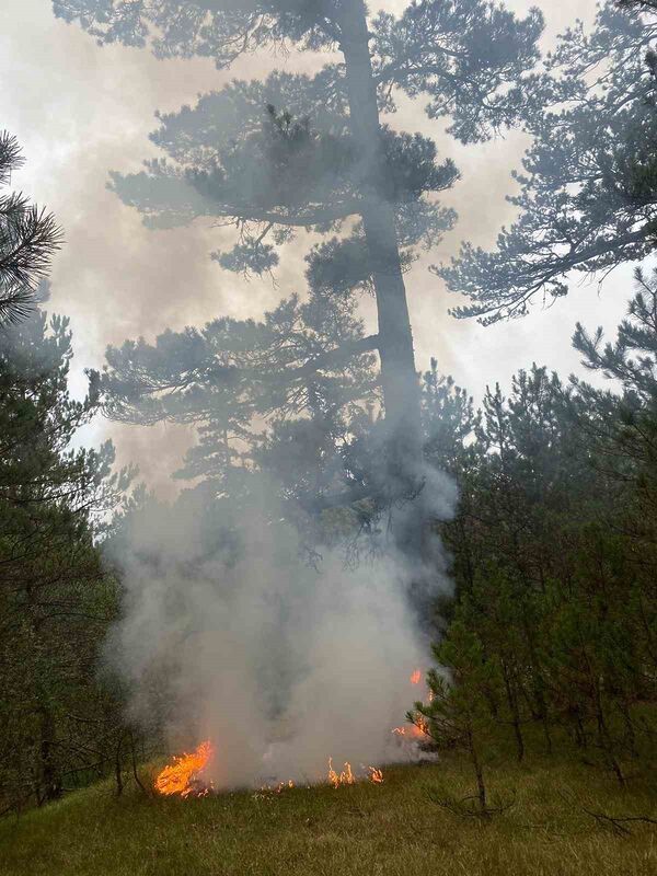 KASTAMONU’NUN TAŞKÖPRÜ İLÇESİNDE YILDIRIMIN