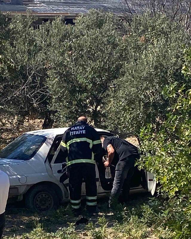 HATAY’DA ZEYTİN BAHÇESİNE UÇAN