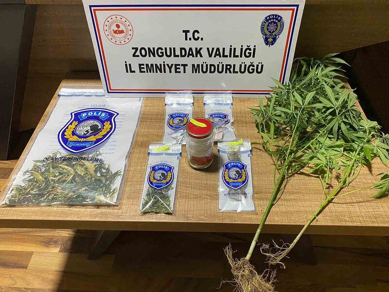 ZONGULDAK VALİLİĞİ, 5-11 AĞUSTOS