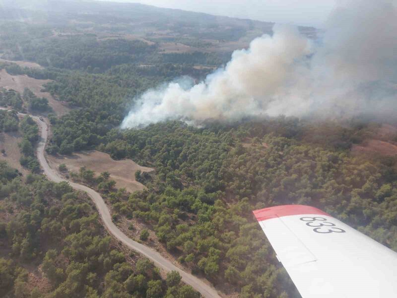 ADANA'DA ORMANLIK ALANDA ÇIKAN