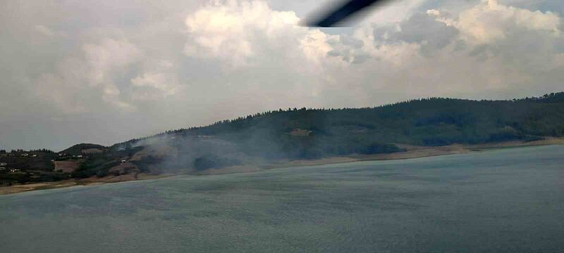 ADANA'DA ORMANLIK ALANDA ÇIKAN