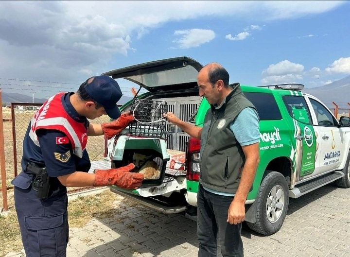 AĞRI İL JANDARMA KOMUTANLIĞI