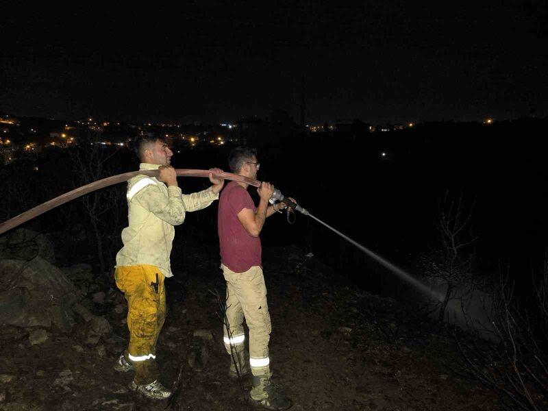 Alanya’da elektrik tellerinden çıkan makilik yangını söndürüldü