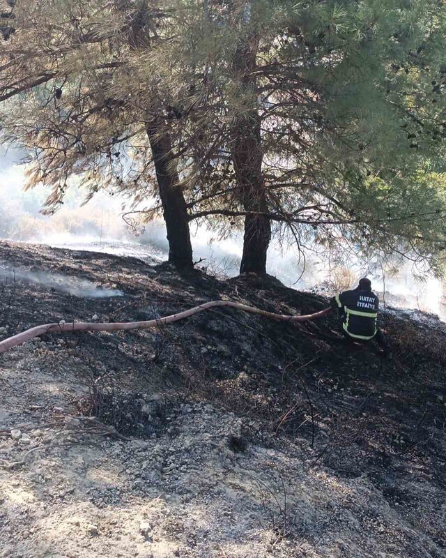 Antakya’da örtü yangını