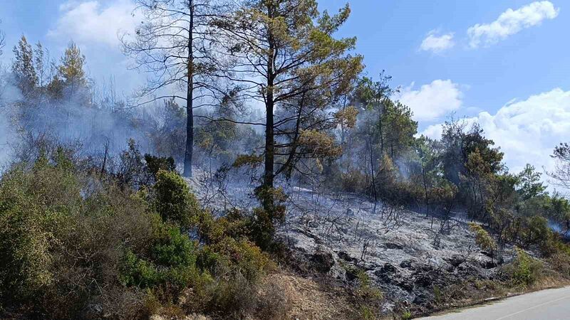 Antalya’da tarım arazisi yandı, 3 sera zarar gördü