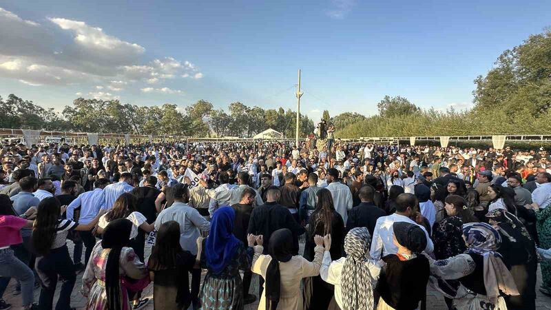 Aşiret festivaline 20 bin kişi katıldı, 300 koyun kesildi