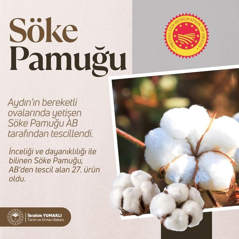 Bakan Yumaklı: “AB’den coğrafi işaret tescili alan Söke Pamuğu’yla tescilli ürün sayımız 27’ye yükseldi”