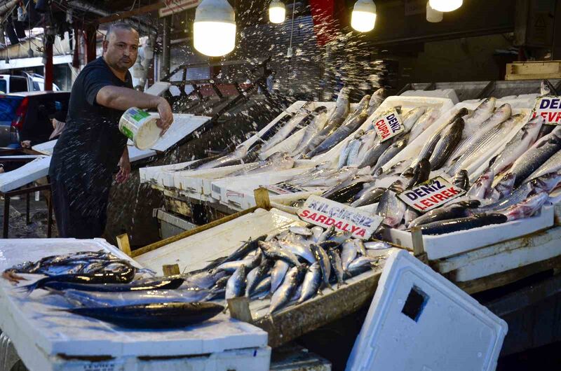 MARMARA, KARADENİZ VE EGE