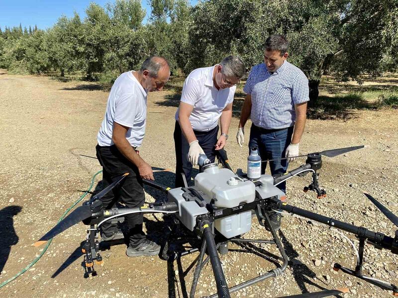 Balıkesir’de zeytin sineğiyle mücadelede sürüyor