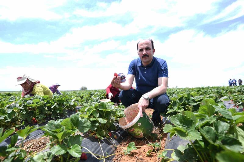 KONYA BÜYÜKŞEHİR BELEDİYESİ’NİN DESTEKLERİYLE