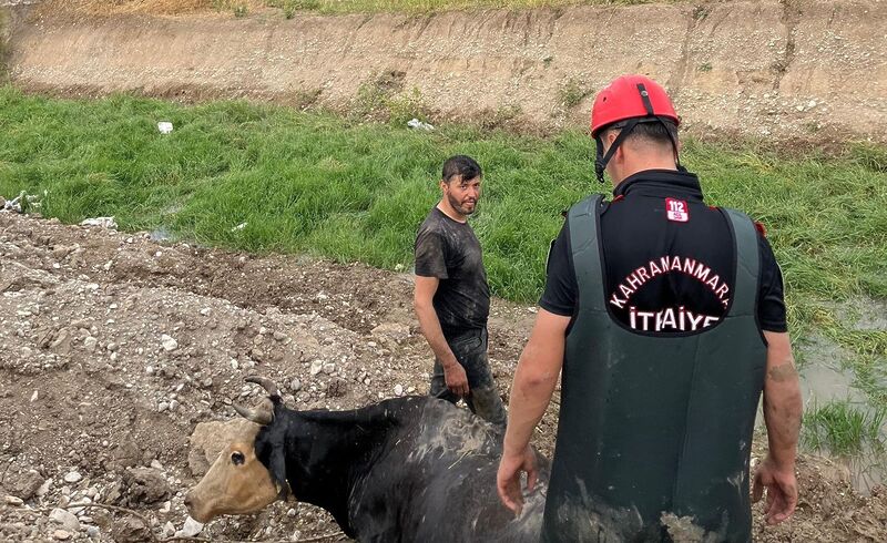 KAHRAMANMARAŞ’TA ARAZİDE OTLANIRKEN DEREYE