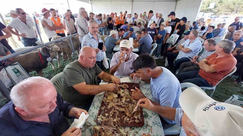 Bu da oğlak yeme yarışması: 10 kilo oğlağı çiğnemeden yediler