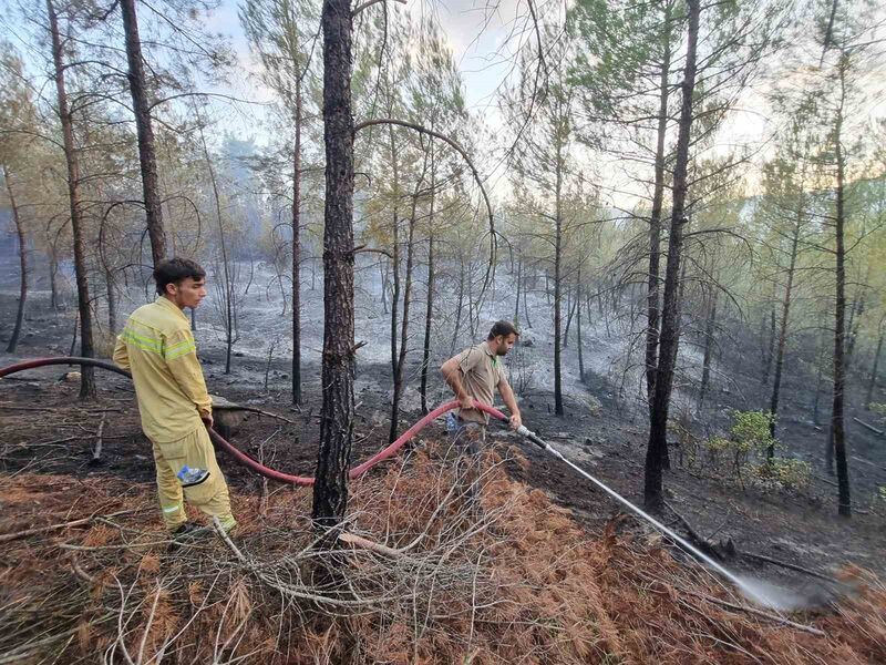 BURSA-KÜTAHYA-BALIKESİR SINIRLARI ARASINDA BULUNAN