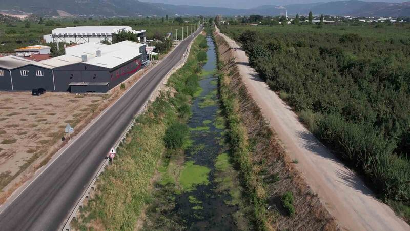 Bursa’da sulama kanalları kurudu, balık ölümleri başladı, şeftali ve armut kuruyor