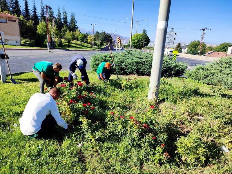 Büyükşehir, yabancı otlarla mücadele ve bakım çalışmalarına hız verdi