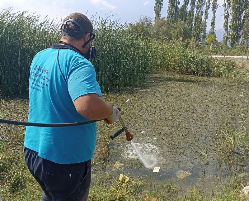 SAKARYA BÜYÜKŞEHİR BELEDİYESİ, VEKTÖRLERLE