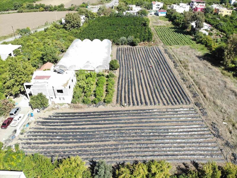 DEPREM BÖLGESİ HATAY’DA ÜRETİME