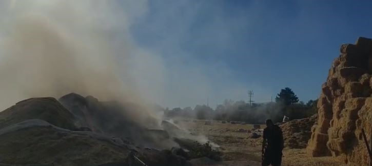 ELAZIĞ’DA TONLARCA SAMAN BALYASI