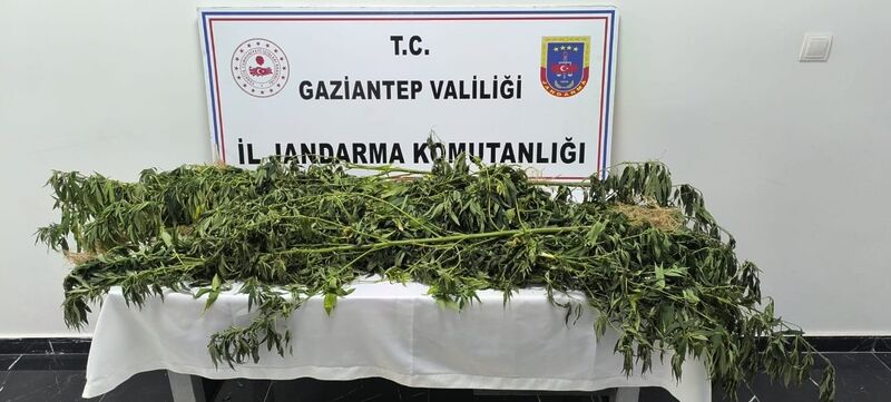 GAZİANTEP'TE JANDARMA EKİPLERİNİN 8