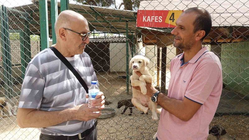 GAZİANTEP BÜYÜKŞEHİR BELEDİYESİ KÖPEK