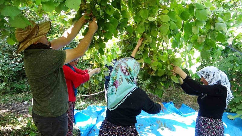 VAN’IN GEVAŞ İLÇESİNDE ‘OLMAZ’