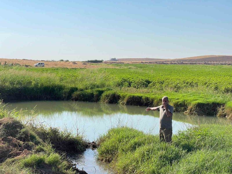 Harran Ovası’nda oluşan dev obruklar çiftçileri korkutuyor