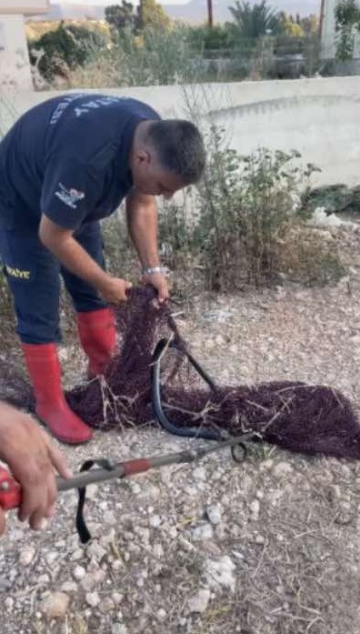 Hatay’da balık ağına takılan yılan itfaiye ekiplerince kurtarıldı