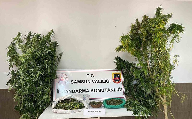 SAMSUN'UN ÇARŞAMBA  VE