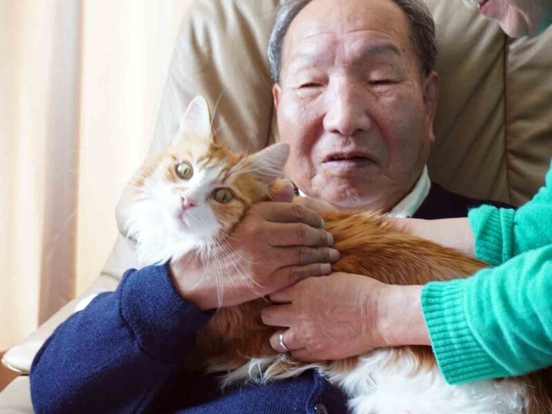 Japonya’da idama mahkum edilen 88 yaşındaki sanığa 46 yıl sonra beraat