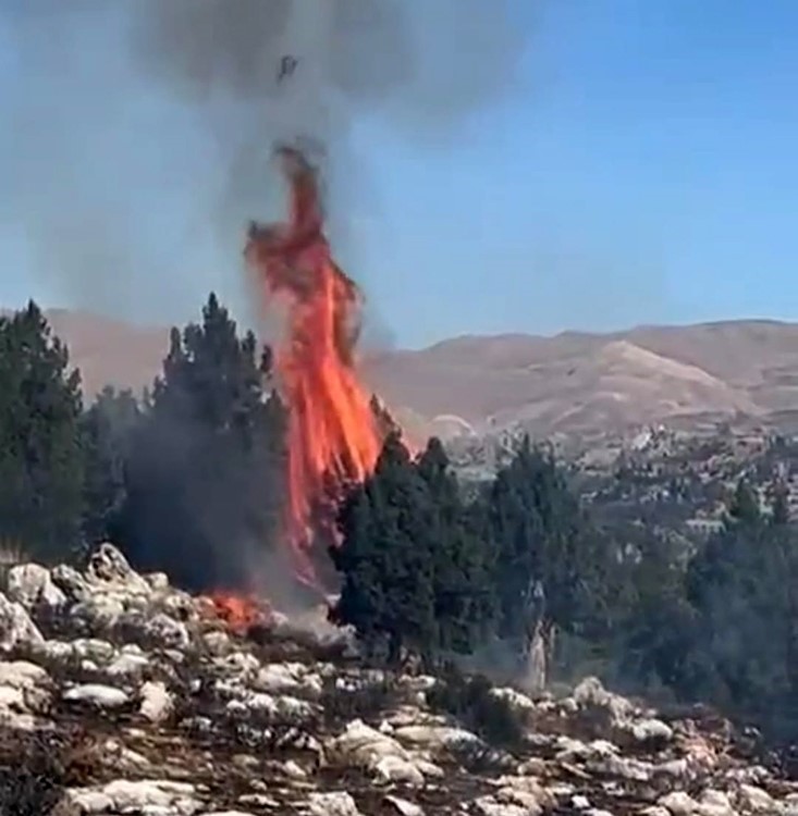 KAHRAMANMARAŞ’IN ÇAĞLAYANCERİT İLÇESİNDE ÇIKAN