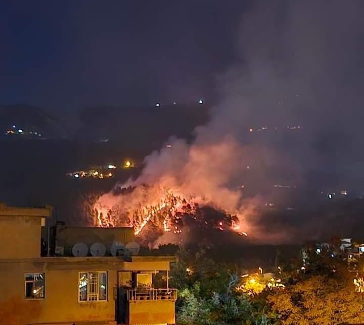 KAHRAMANMARAŞ’TA ÇIKAN ORMAN YANGINI