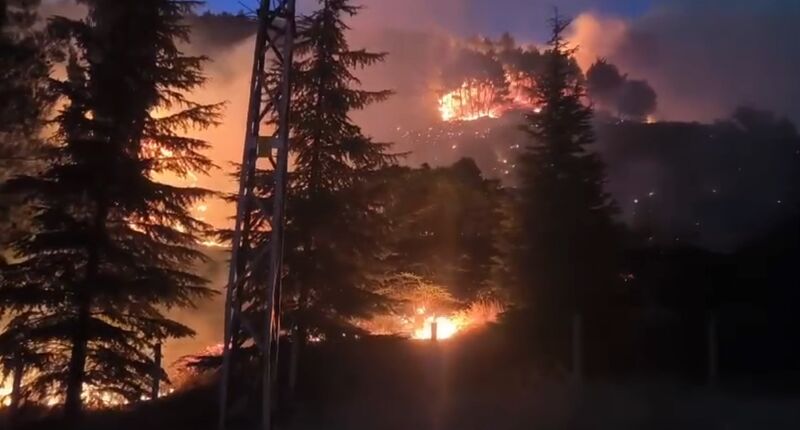 KAHRAMANMARAŞ’TA ORMANLIK ALANDA ÇIKAN