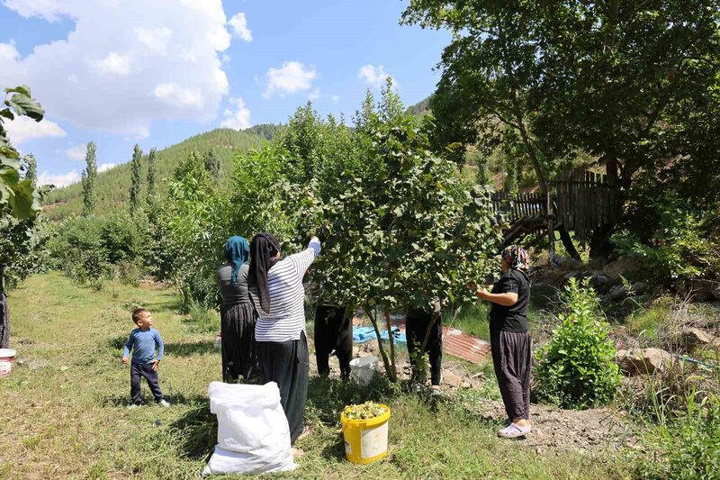 ADANA’NIN FEKE İLÇESİNE BAĞLI