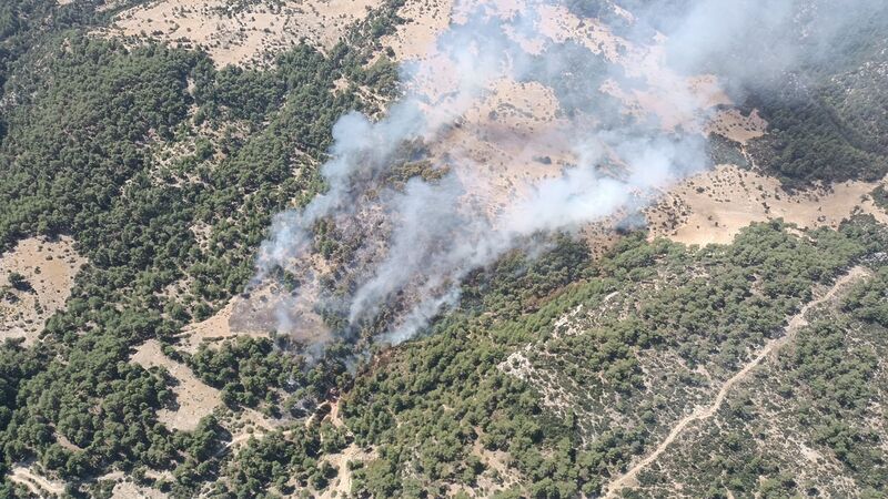 ANTALYA’NIN KAŞ İLÇESİNDE ÇIKAN